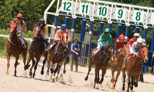 Play Online Horse Racing Game